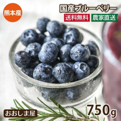 無農薬 生 ブルーベリー 送料無料（クール代込み） 国産 熊本産 農家直送 産地直送 750g（125gパック×6パック） ８月中旬より順次出荷予定 生食 フルーツ 果物 
