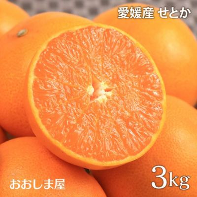 愛媛産 せとか 3kg 送料無料（約15玉入り）大小サイズ混合 小林果園 ＜2月下旬より出荷予定＞  農家直送 産地直送 甘い みかん 柑橘  【0451807】