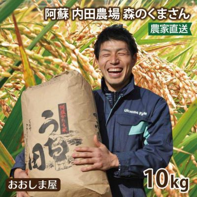 お米 内田農場 のお米 1袋 10kg 森のくまさん 阿蘇 熊本県産 米 白米 国産米 農家直送 送料無料 
