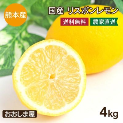国産 レモン 熊本産 4kg 送料無料 ＜一週間から10日前後でお届け＞ リスボン れもん ノーワックス 防カビ剤不使用 産地直送 