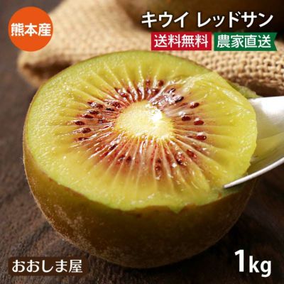 キウイ レッドサン 1kg(8-12玉) 送料無料 国産 別名： レッドキウイ キウイフルーツ 紅妃 レインボー 赤い 熊本産 農家直送 産地直送 フルーツ 果物
