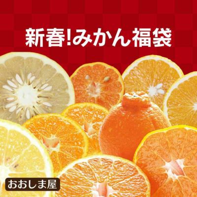 2025 新春！みかん福袋 おまかせ柑橘3種類 ＜2025年1月14日から17日出荷＞ 合計3kg 送料無料