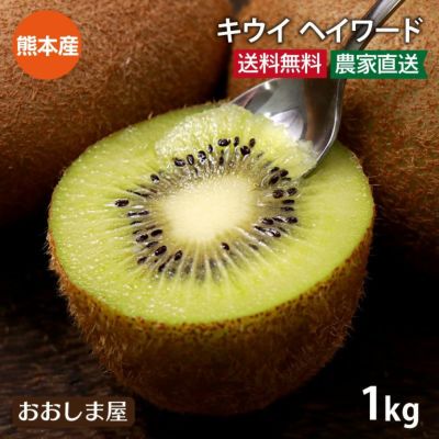国産キウイ ヘイワード 送料無料 1kg（7-10玉前後) 熊本産 農家直送 産地直送 フルーツ 果物 【0452063】