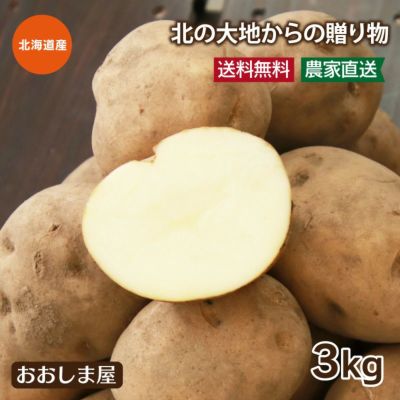 北の大地からの贈り物　3kg(40玉前後)　北海道産 送料無料 じゃがいも 男爵芋 トヨシロ いも 芋 