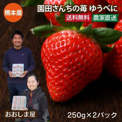 ゆうべに 熊本産 2パック ＜送料無料・クール代別＞ 新品種 熊紅 農家直送 ブランド いちご イチゴ 苺 ＜1月上旬より出荷開始＞ ギフト プレゼント 贈答 進物 フルーツ 果物 