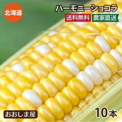北海道産 とうもろこし ハーモニーショコラ 10本 送料無料（クール代別） 北海道 スイートコーン フルーツコーン トウモロコシ 7月下旬より順次出荷予定 農家直送 