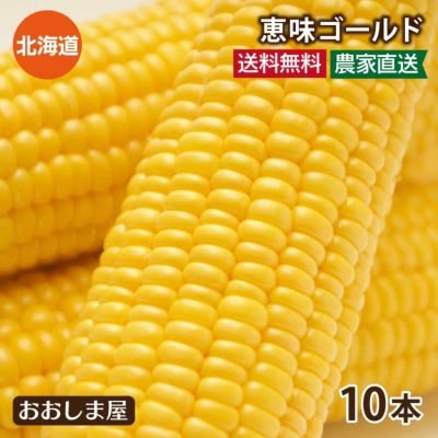 北海道産 とうもろこし 恵味ゴールド 10本 送料無料（クール代別） 北海道 スイートコーン フルーツコーン トウモロコシ 8月上旬より順次出荷予定 農家直送 フルーツ 