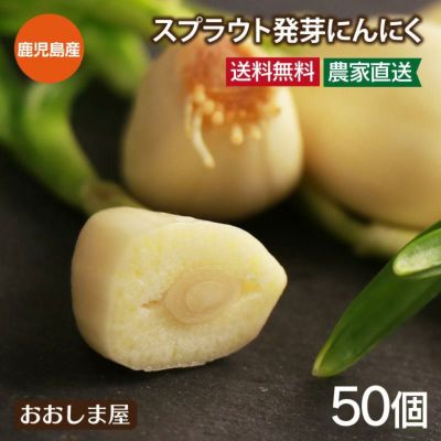 スプラウトにんにく 50個(10個×5袋) ＜送料無料＞ 鹿児島県霧島産 発芽にんにく ニンニク 野菜 川越農園 農家直送 