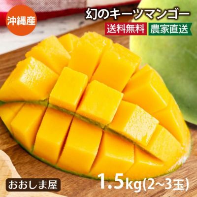幻のキーツマンゴー 1.5kg(大小混合2-3玉) 送料無料 ＜7月下旬より出荷予定＞ 沖縄県 西表島産 果物 フルーツ 【0451931】