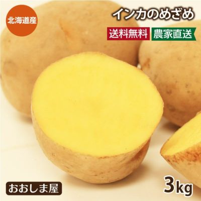 北海道ジャガイモ インカのめざめ 3kg（30玉前後）＜7月下旬より順次出荷＞ 送料無料 いも 芋 じゃがいも 新じゃが 農家直送 産地直送 