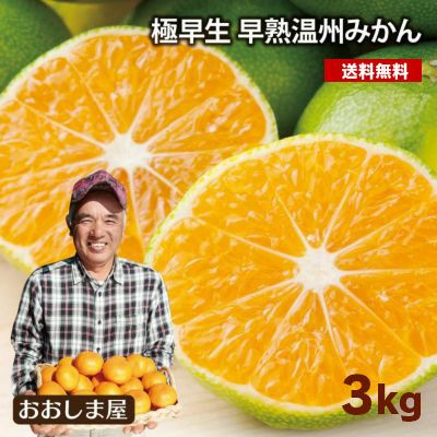 早熟温州みかん 3kg 【11月上旬頃より順次出荷】 熊本 35玉前後 送料無料 国産 極早生 早熟温州 フルーツ 果物  【0451841】
