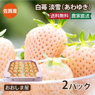 佐賀産 白いちご 淡雪 あわゆき 2パック ＜12月中旬より出荷予定＞ 送料無料  クール代別 白苺 イチゴ 苺 果物 フルーツ 農家直送 産地直送 