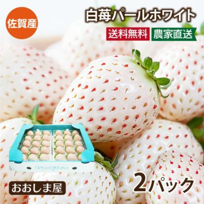 佐賀産 白いちご パールホワイト 2パック ＜12月下旬より出荷予定＞ 送料無料  クール代別 白苺 イチゴ 苺 果物 フルーツ 農家直送 産地直送 
