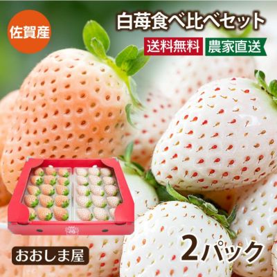 佐賀産 白いちご食べ比べセット パールホワイト 淡雪（あわゆき）  ＜1月上旬より出荷予定＞ 送料無料  クール代別 白苺 イチゴ 苺 果物 フルーツ 農家直送 産地直送 