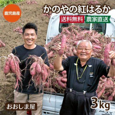 かのやの紅はるか 3kg 送料無料 ＜1月中旬以降より順次出荷＞ 鹿児島県産 さつまいも サツマイモ 芋 鹿屋 南橋農場