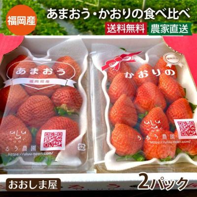 福岡産 いちご あまおう＆かおり野２種食べ比べセット 送料無料（クール代別） ＜12月上旬より出荷予定＞ イチゴ 苺 かおりの 特別栽培 有機栽培 果物 フルーツ 農家直送 産地直送 