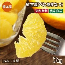 紅甘夏 べにあまなつ ＜2月上旬から順次出荷＞みかん 5kg（約10-20玉前後） 農家直送 送料無料 熊本県産 果物 フルーツ 【040-6690】