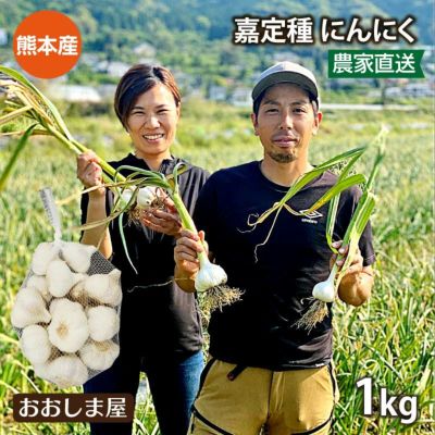 熊本県産 にんにく 1kg（約20玉前後） 嘉定種 送料別 ＜6月下旬より順次出荷＞ 野菜 ニンニク 大蒜 ガーリック 農家直送