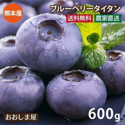大粒ブルーベリー タイタン 熊本県産 合計600g ＜送料無料・クール代込＞ 無農薬 有機栽培 6月中旬より順次出荷 国産 冷蔵便 フルーツ 果物 農家直送 