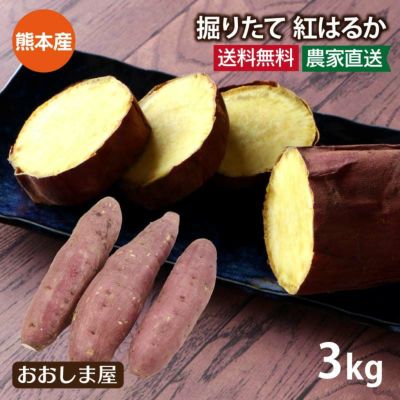2022年新物 紅はるか 熊本県産 3kg（7本から15本前後）  ＜8月下旬より順次出荷＞ 送料無料 掘りたて 掘れたて さつまいも サツマイモ 芋 那須農園 