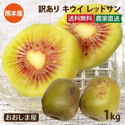 訳あり 国産キウイ レッドサン 1kg(10玉-15玉) 送料無料 ＜訳有りのため10日から2週間でお届け＞ 外皮に傷あり 大きさバラバラ 国産 別名： レッドキウイ キウイフルーツ 紅妃 レインボー 赤い 熊本産 農家直送 産地直送 フルーツ 果物