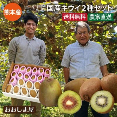 国産キウイ 2種詰め合わせ 合計約2kg 送料無料 熊本産 レッドサン（レッドキウイ） ヘイワード（グリーンキウイ） 農家直送 産地直送 フルーツ 果物【0452754】