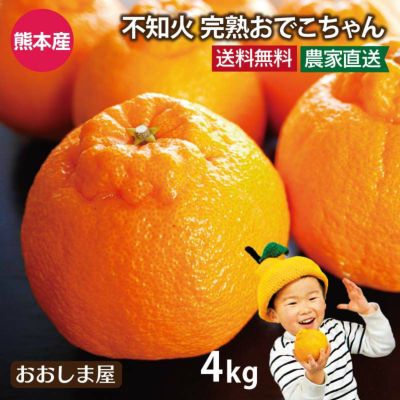 完熟 おでこちゃん 4kg 送料無料 ＜2月上旬よりご注文順に順次出荷＞ みかん デコポン と同品種 ミカン 不知火 家庭用  農家直送 産地直送 食品 グルメ 果物 フルーツ 