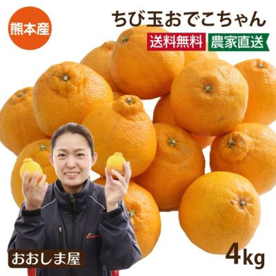 ちび玉 不知火完熟おでこちゃん 4kg 送料無料 大小混合 S-Mサイズ 小玉 訳あり ＜1週間から2週間でお届け＞ 小傷あり 家庭用 農家直送 産地直送 甘い みかん 柑橘 