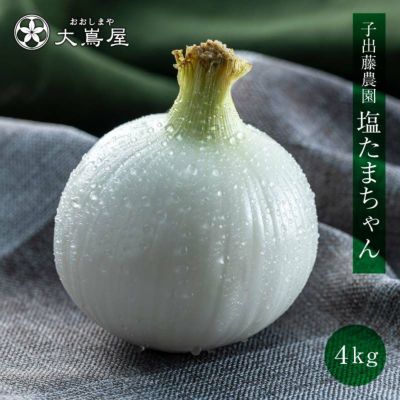 塩たまちゃん 4kg 送料無料 熊本産 子出藤農園の塩たまねぎ 3月下旬より順次出荷 ＜送料無料・農家直送・同梱不可＞新たまねぎ 新玉ねぎ タマネギ 玉葱