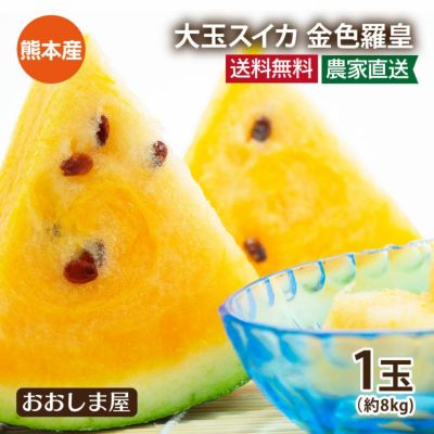 大玉スイカ 金色羅皇 1玉 約8kg以上 2L-3Lサイズ 送料無料 ＜5月中旬より順次出荷予定＞ クリームスイカ 黄色いスイカ 農家直送 ギフト プレゼント フルーツ 果物 