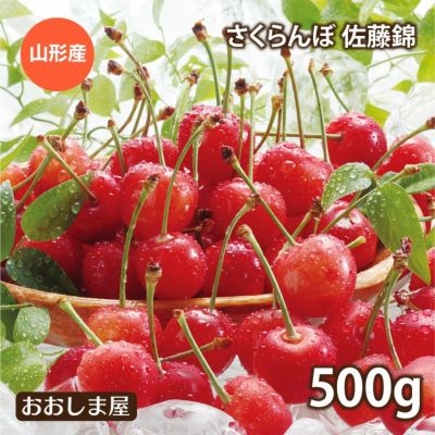さくらんぼ 山形産 佐藤錦　500g 2Lサイズ 送料無料 クール代別 バラ詰め 家庭用 露地栽培 サクランボ ＜6月中旬出荷＞ 果物 フルーツ 