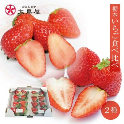 栃木いちご2種食べ比べ ＜送料無料・クール代別＞  合計2パック スカイベリー とちあいか プレミアム苺 栃木産 国産 イチゴ 苺 農家直送 産地直送 生産者直送 フルーツ 果物