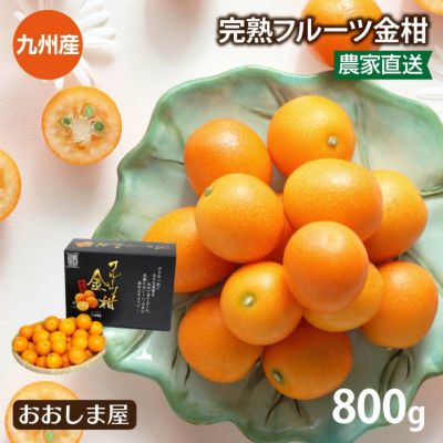 完熟フルーツ金柑 800g 送料別 ＜3月中旬より出荷予定＞ フルーツ 果物 農家直送 九州産  【0451765】