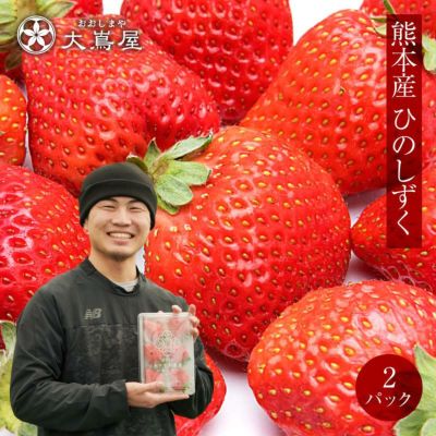 ひのしずく 熊本産 2パック ＜送料無料・クール代別＞ 新品種 農家直送 ブランド いちご イチゴ 苺 ＜3月上旬より出荷予定＞ ギフト プレゼント 贈答 進物 フルーツ 果物  【0453329】