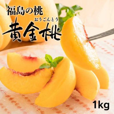 福島の桃 黄金桃 1kg（3玉から5玉） ＜送料無料・冷蔵便・クール代別途＞ 産地直送 農家直送 福島県産 果物 フルーツ 