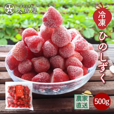 冷凍いちご ひのしずく 500g 送料・クール代別 ※直送のため同梱不可 苺 イチゴ いちご 国産 熊本産 冷凍フルーツ スイーツ お菓子作りに 果物 フルーツ 農家直送 産地直送 