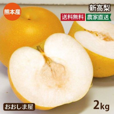 完熟 新高梨 2kg前後（3-4玉）送料無料 ＜9月下旬より順次出荷＞ 赤梨 熊本産 国産 フルーツ 果物 