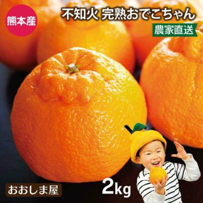 完熟 おでこちゃん 2kg 送料別 ＜2月上旬よりご注文順に順次出荷＞ みかん デコポン と同品種 ミカン 不知火 家庭用 農家直送 産地直送 食品 グルメ 果物 フルーツ 
