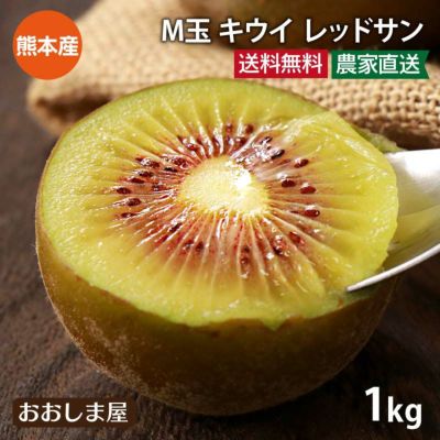 キウイ レッドサン M玉 1kg（14-16玉） 送料無料 小さめサイズ 国産 別名： レッドキウイ キウイフルーツ 紅妃 レインボー 赤い 熊本産 農家直送 産地直送 フルーツ 果物
