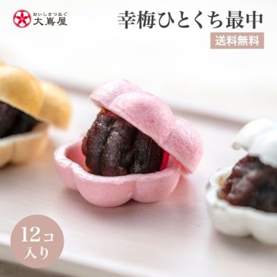 幸梅ひとくち最中 12個入り 送料無料 あんこもなか 和菓子 一口 メール便【0800678】