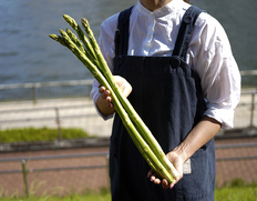 『さぬきのめざめ』香川県産 極太2L 約50cm×5本 (計約450g）アスパラガス ※冷蔵 JA香川県