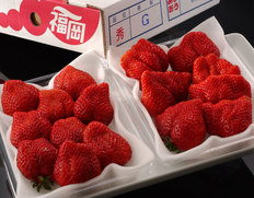 『博多あまおう』福岡県八女産いちご グランデ 約270g×2パック 産地箱 ※冷蔵