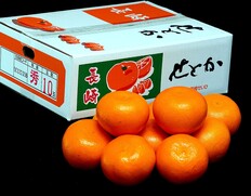 『せとか』長崎県産 柑橘 3〜4L 約3kg（8〜10玉）産地箱 風袋込 ※常温 JA長崎せいひ