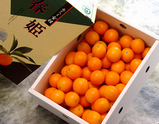 『春姫(はるひめ)』鹿児島県産 金柑 L〜2L 約2kg 化粧箱 風袋込 ※常温 JA南さつま