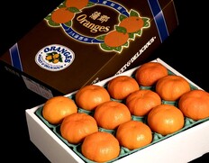 JA蒲郡市『大玉 あすみ』 愛知県産 柑橘 秀 2〜4L 約3kg (8〜12玉) 化粧箱 風袋込 ※常温