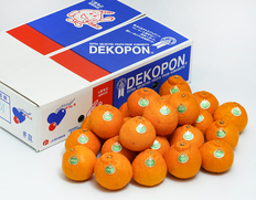 ご自宅用『デコポン』熊本県産 無印 約5kg（18〜24玉）産地箱 風袋込 ※常温【2箱まで送料1口】