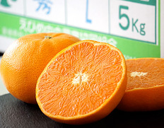 『せとか』 愛媛県中島産 柑橘 青秀 バラ詰め 約5kg(風袋込) L-3Lサイズ (目安18〜28玉) 産地箱 ※常温