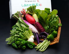 「於愛の方」ふるさと『オーガニック野菜セット（Mサイズ）』静岡県掛川市産 旬の有機野菜8〜10袋 ※冷蔵