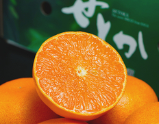 『せとか』佐賀県産柑橘 M〜Lサイズ 約2.5kg×2箱（1箱：12〜18玉）化粧箱 風袋込 ※常温