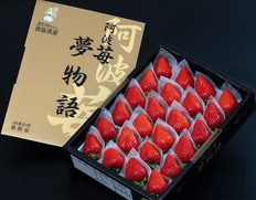『夢物語』徳島県産いちご 約700g (16〜28粒) 化粧箱 ※冷蔵 JA阿波町苺部会